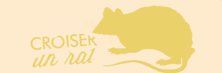 Croiser un rat
