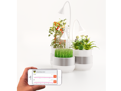 SproutsIO